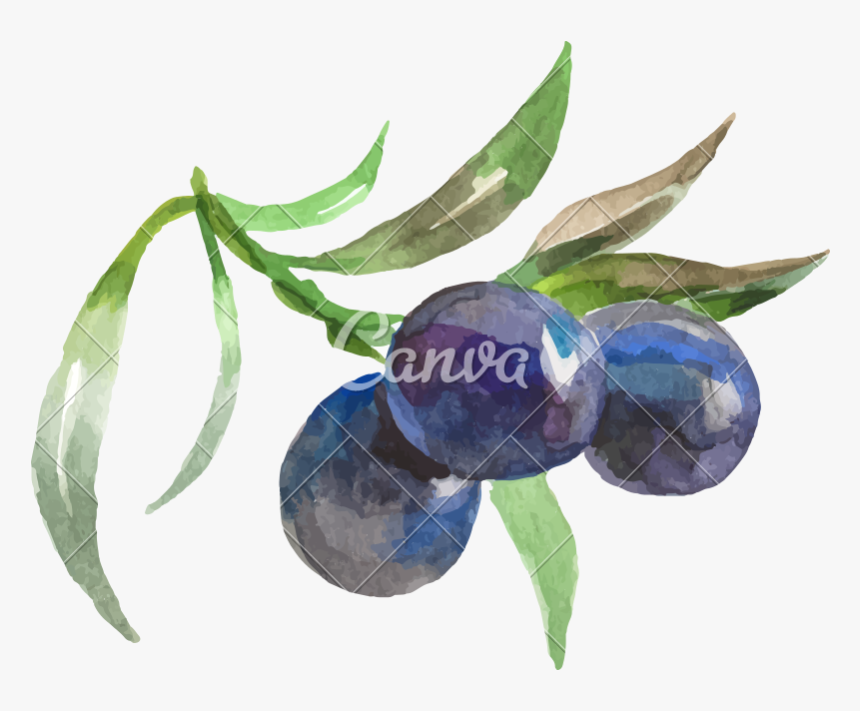 Watercolor Painting Of Grapes Vector Icon Illustration - Watercolor Painting, HD Png Download, Free Download