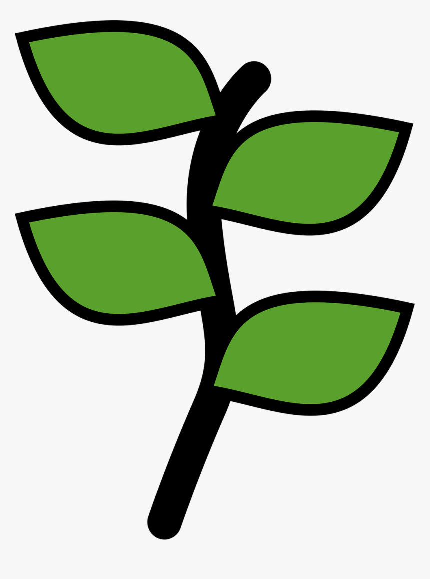 Coltivazioni Png, Transparent Png, Free Download