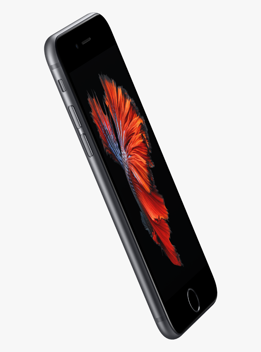 Iphone 6s Grey Price, HD Png Download, Free Download