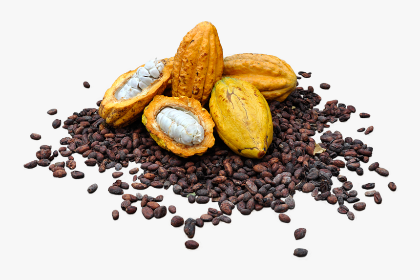 Cacaos Download Transparent Png Image - Cacao Png, Png Download, Free Download