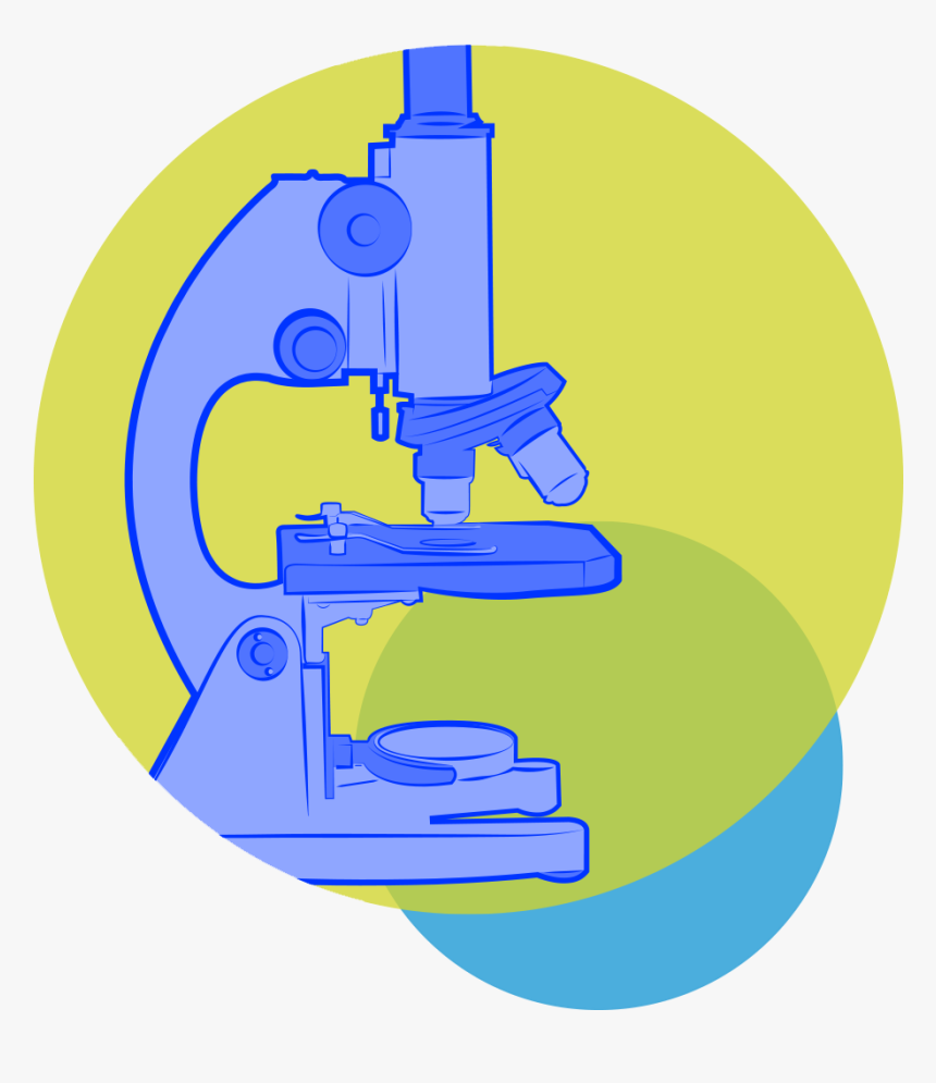 Clinical Microscopy Picture Png, Transparent Png, Free Download