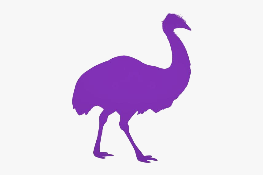 Transparent Emu Clipart, Emu Png Image - Emu Cartoon Png, Png Download, Free Download