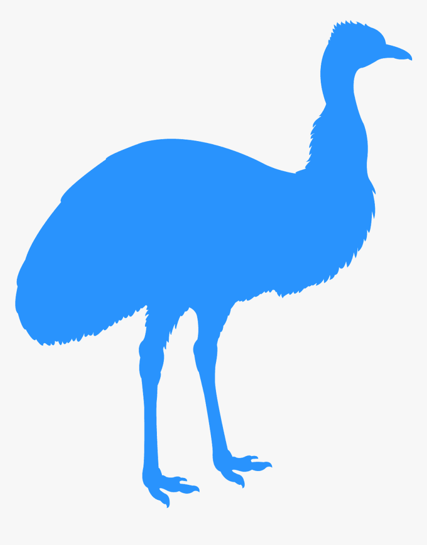 Black Emu, HD Png Download, Free Download