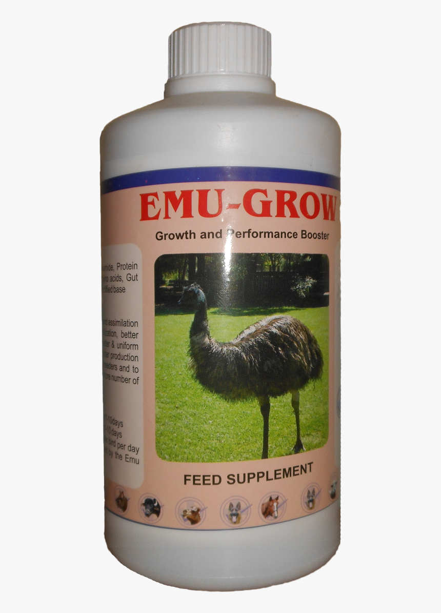 Transparent Emu Png - Emu, Png Download, Free Download