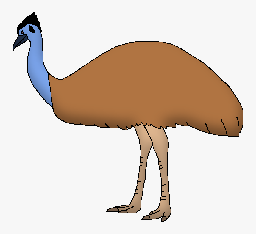 Wildlife Animal Pedia Wiki - Peafowl, HD Png Download, Free Download