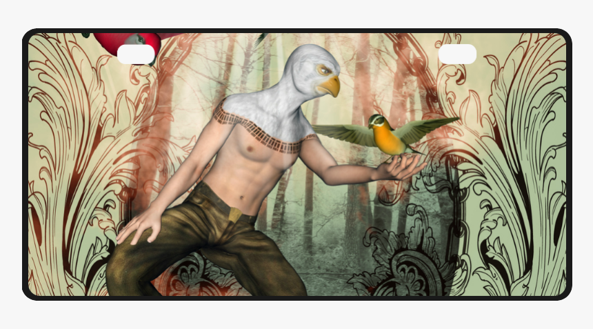 The Birdman With Birds License Plate - Visual Arts, HD Png Download, Free Download