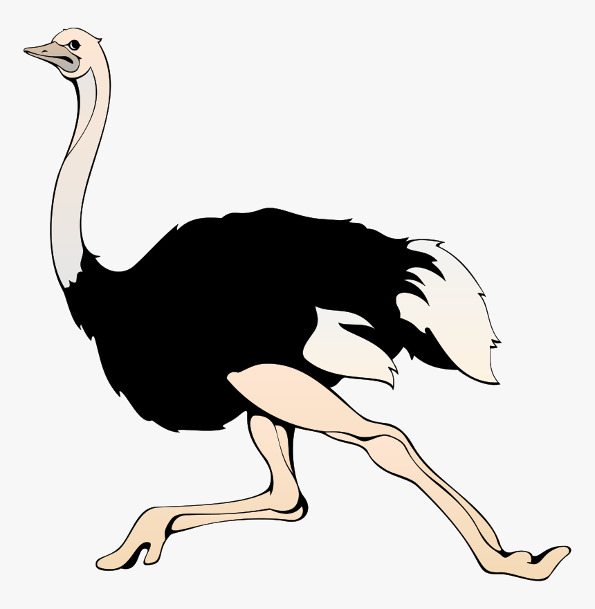 Ostrich Clipart, HD Png Download, Free Download