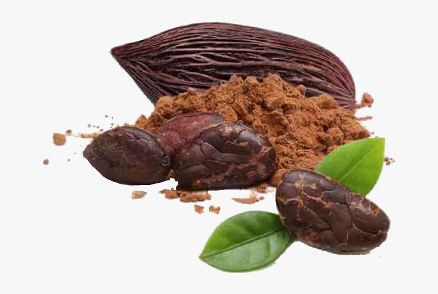 Cacao Transparent - Cacao Png, Png Download, Free Download