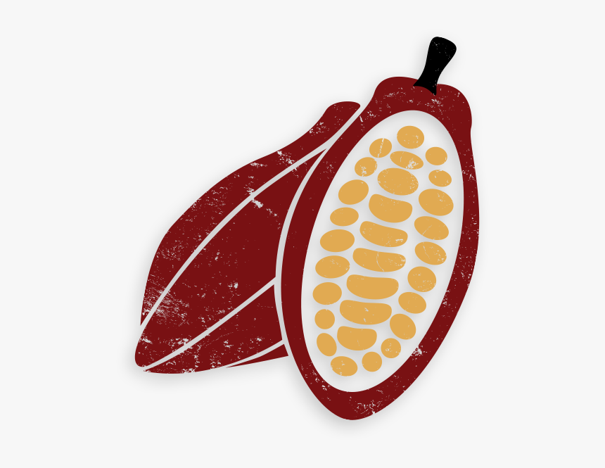 Transparent Cocoa Bean Png - Cacao Png, Png Download, Free Download