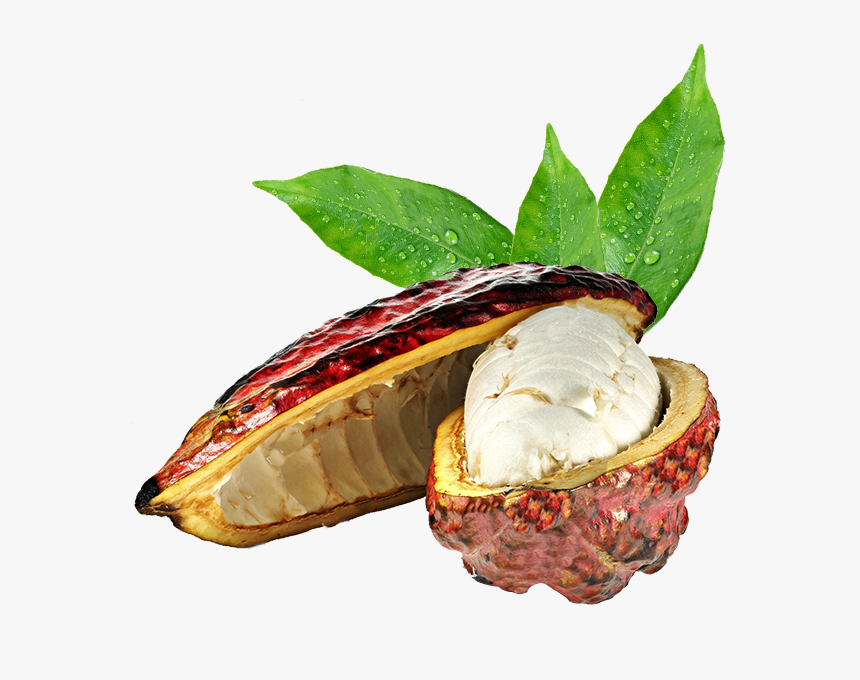Happy Co Pulpa De Cacao Ecuador - Buttercream, HD Png Download, Free Download