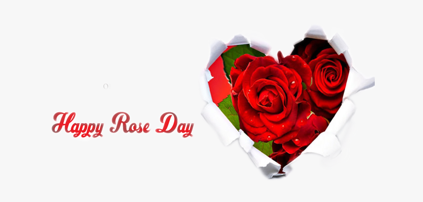 Happy Rose Day Png Image - Happy Wedding Anniversary Brother And Sister In Law, Transparent Png, Free Download