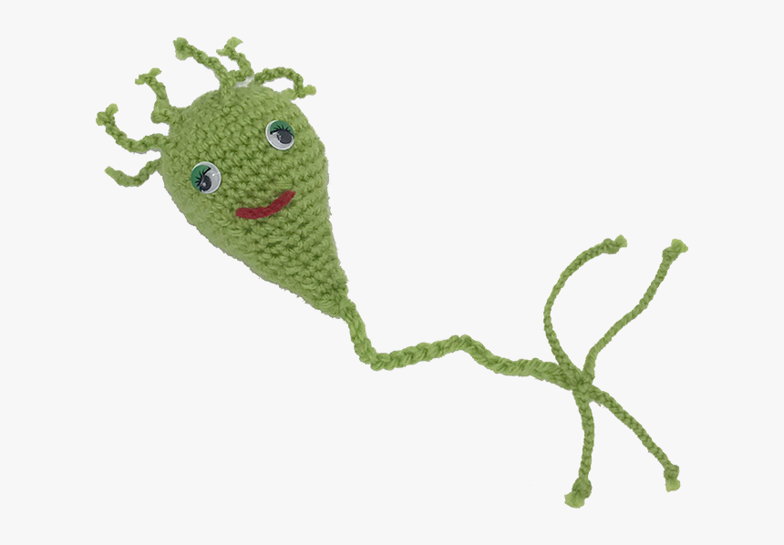 Cartoon, HD Png Download, Free Download