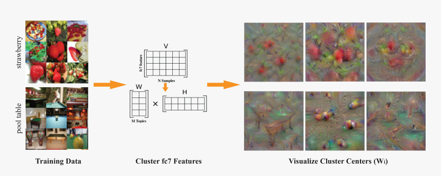 Neurons Png, Transparent Png, Free Download