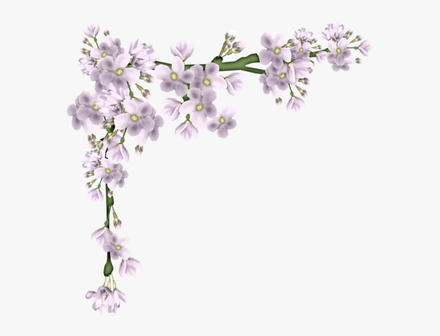 Transparent Lavender Border Png, Png Download, Free Download