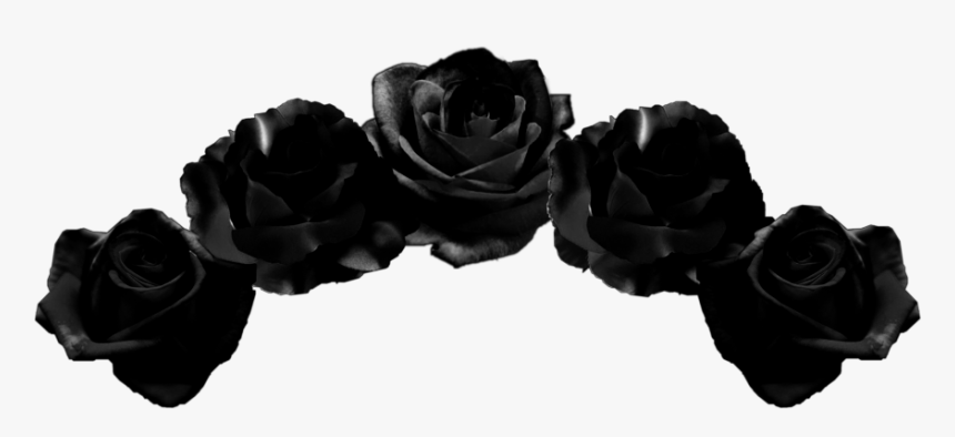 #blackflowercrown #flowercrown #flowers #crown #black - Transparent Black Flower Crown, HD Png Download, Free Download