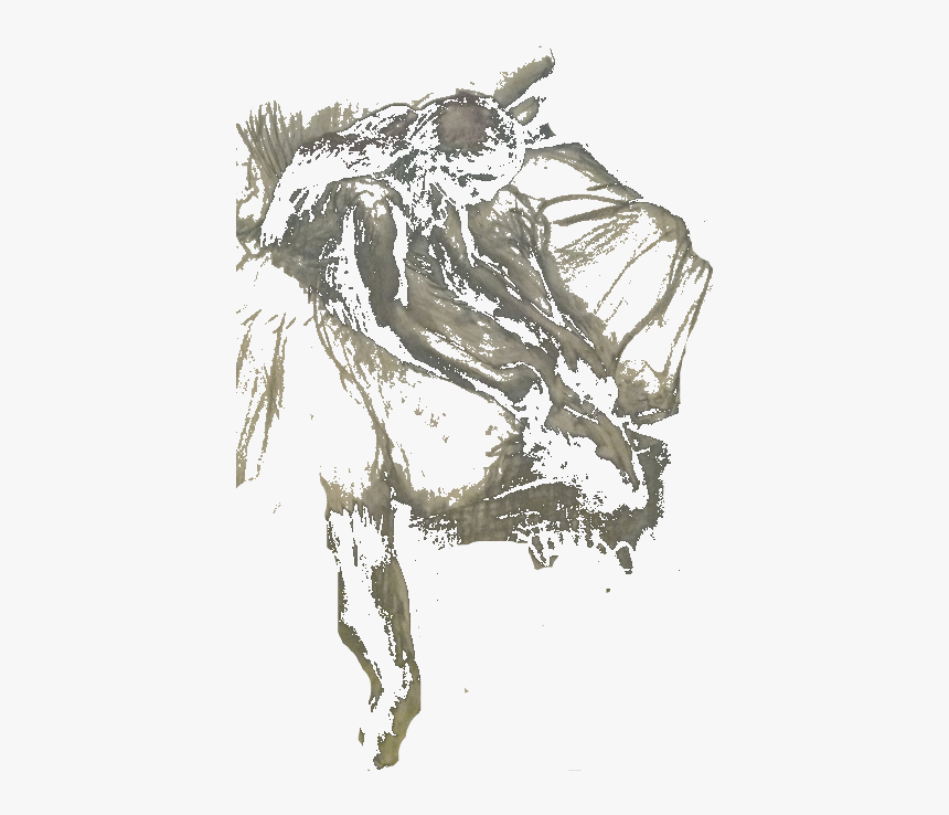 Degas - Sketch, HD Png Download, Free Download