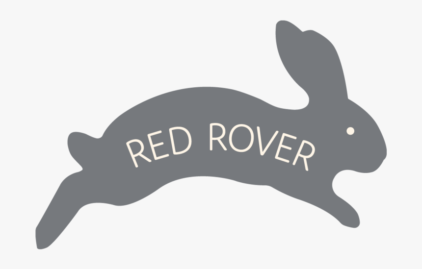 Red Rover - Domestic Rabbit, HD Png Download, Free Download