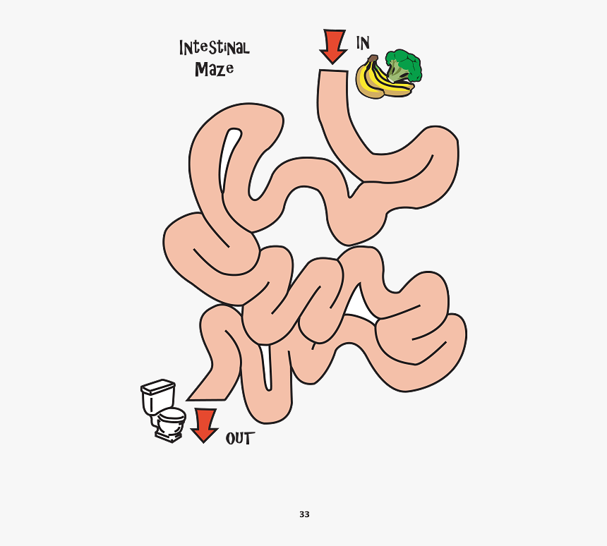 Digestive System Board Game, HD Png Download, Free Download