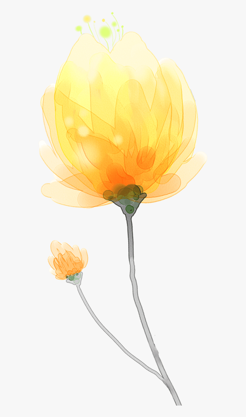 Transparent Yellow Watercolor Png - Illustration, Png Download, Free Download