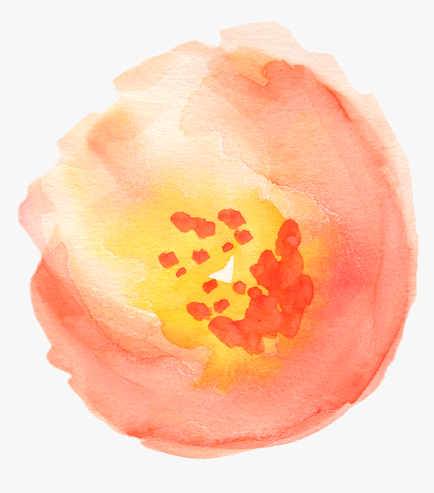 Hd Svg Transparent Download - Png Transparent Watercolor Flower Png Orange, Png Download, Free Download