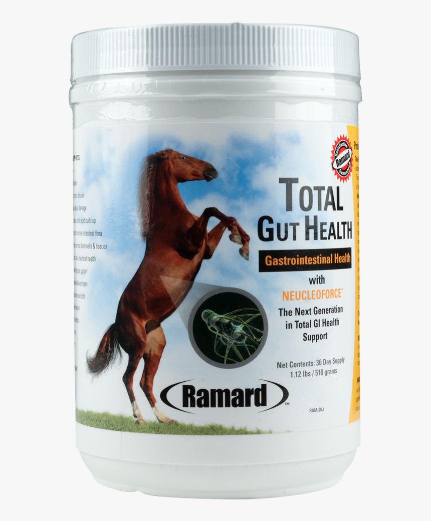 Total Gut Health 30 Day Supply - Horses, HD Png Download, Free Download