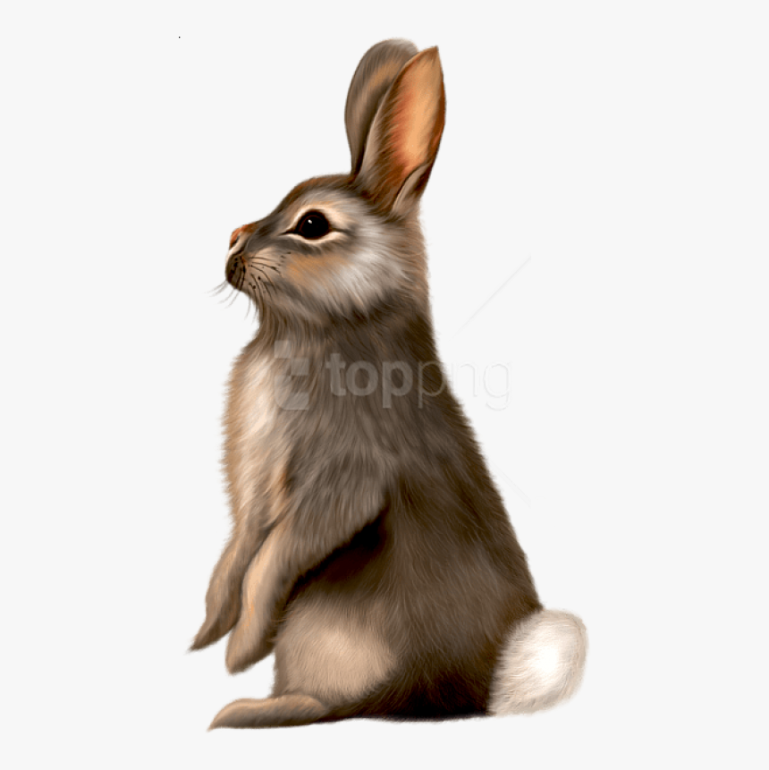 Free Png Painted Brown Bunny Png Images Transparent - Brown Bunny Clipart, Png Download, Free Download