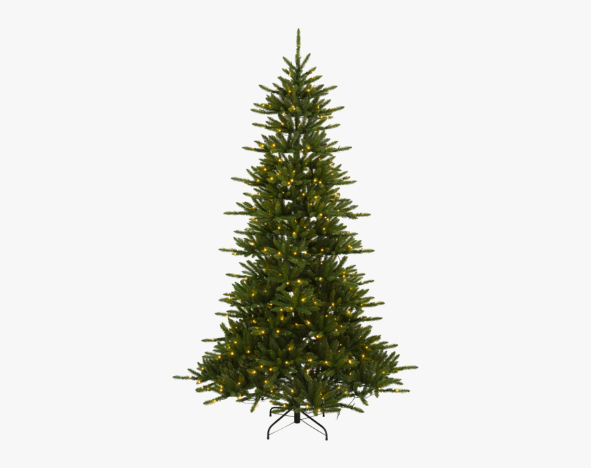 Christmas Tree W Led Minnesota - Nordmann Fir Christmas Tree Uk, HD Png Download, Free Download