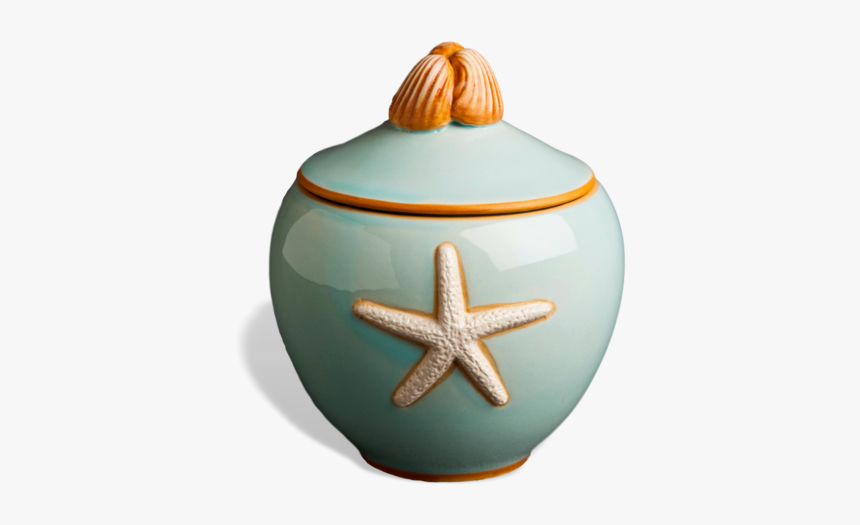 Starfish, HD Png Download, Free Download