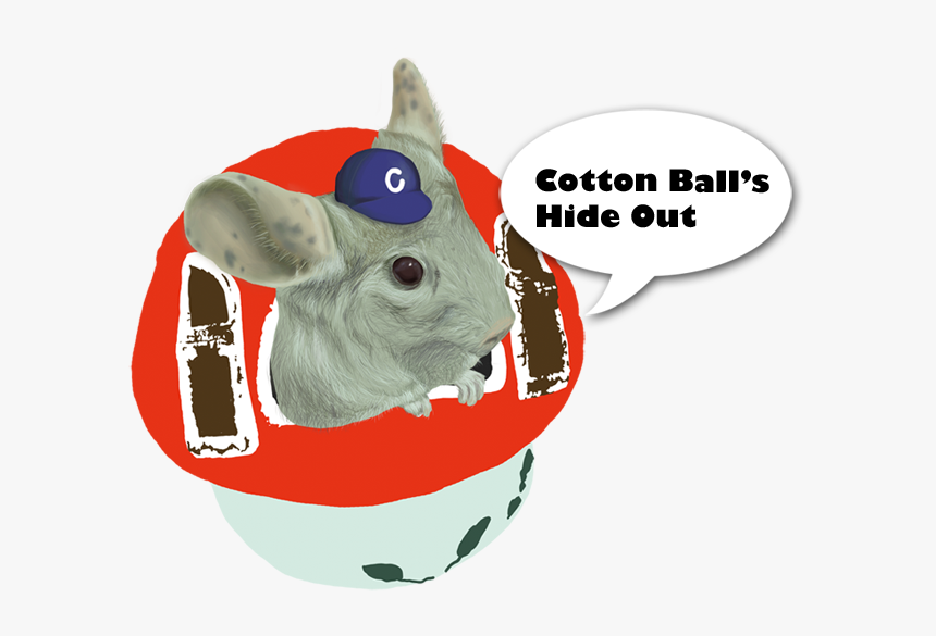 Cotton Ball"s Hideout - Rabbit, HD Png Download, Free Download