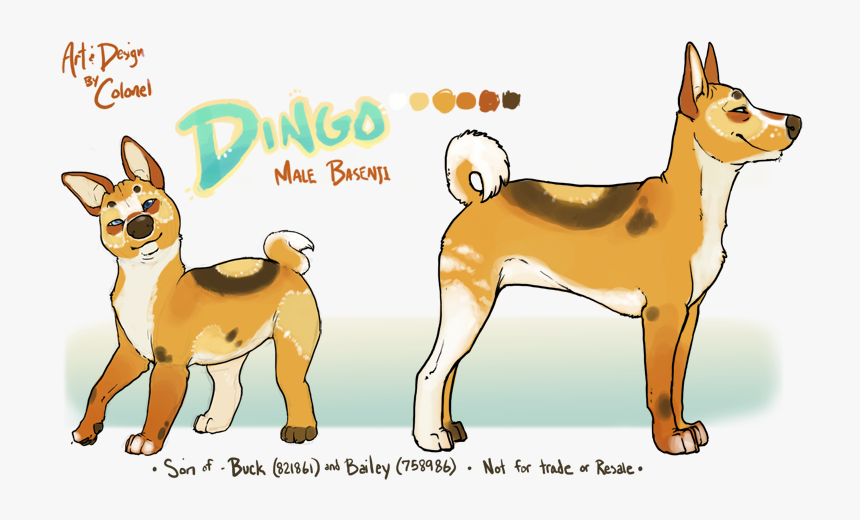 Dingo, Is In Fact, Not A Dingo At All - Basenji, HD Png Download, Free Download