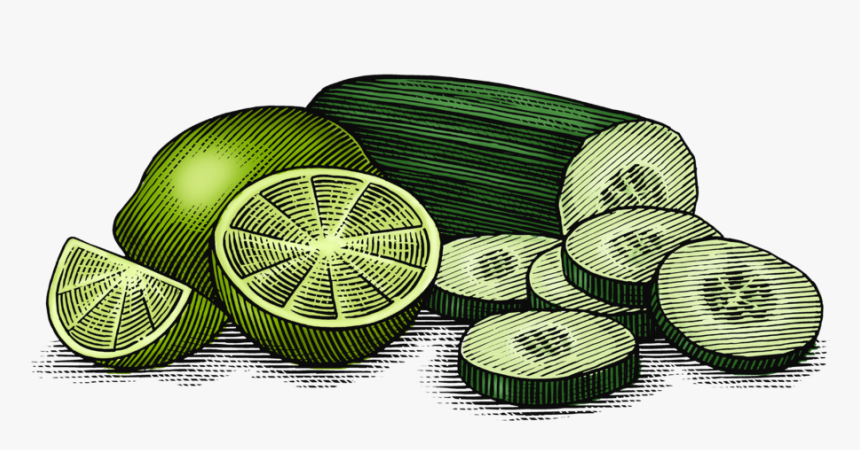 Cucumber Lime Final Art Layer - Circle, HD Png Download, Free Download