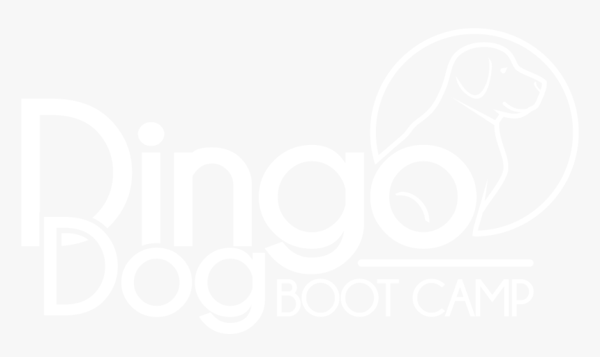 Dingo Dog Boot Camp - Graphic Design, HD Png Download, Free Download