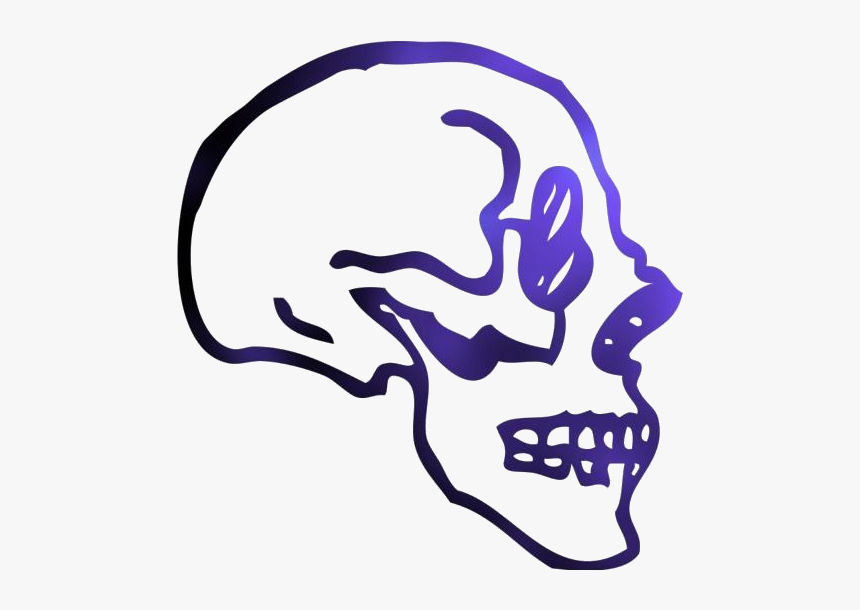 Skull Side Borders Png Transparent Images - Skull Profile Art Png, Png Download, Free Download