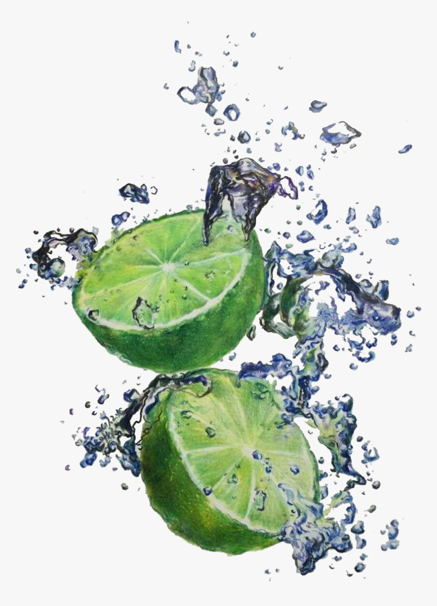 Clip Art Lime Illustration - Watercolor Painting, HD Png Download, Free Download