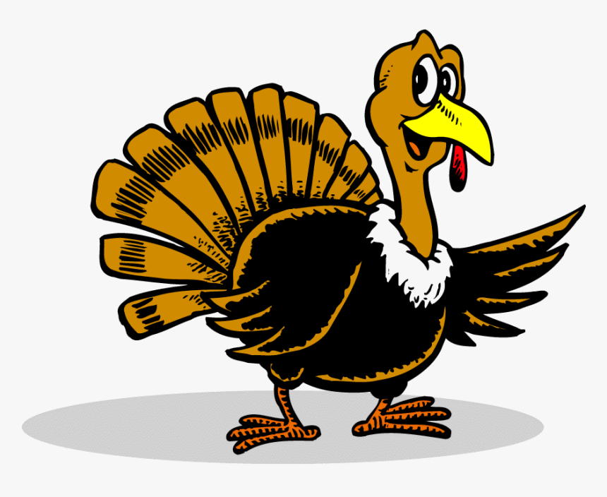 Transparent Wild Turkey Clipart Black And White - Thanksgiving Turkey Cartoon, HD Png Download, Free Download