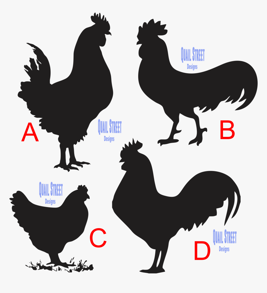 Chicken Rooster Vinyl Decal - Chicken Silhouette, HD Png Download, Free Download