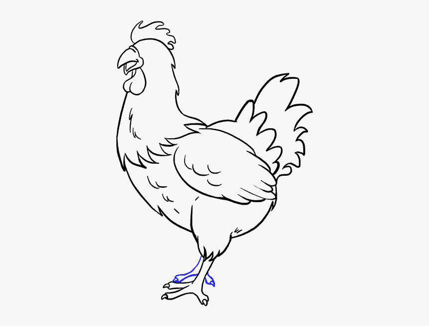 How To Draw Chicken - Chicken Head Drawing Easy, HD Png Download, Free Download