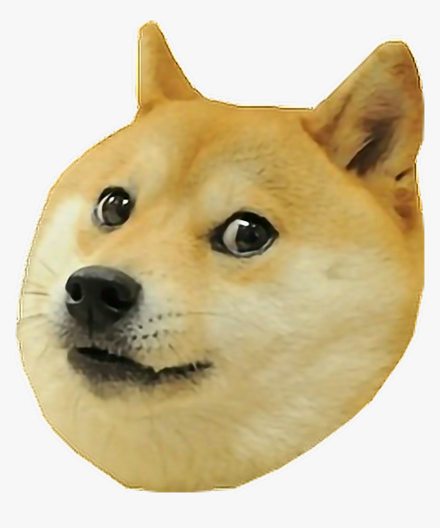 Doge Face Transparent, HD Png Download, Free Download