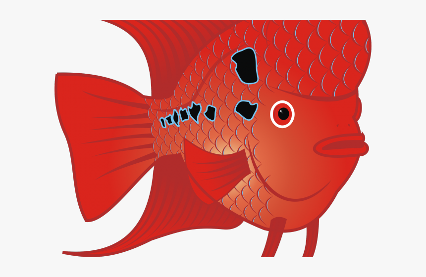 Gold Fish Clipart Fish Head - Flowerhorn Clip Art, HD Png Download, Free Download