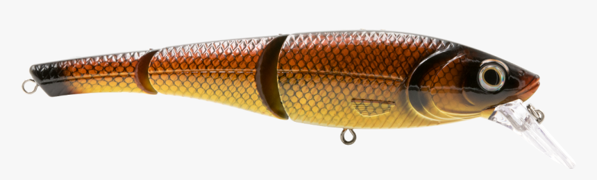 Transparent Fish Head Png - Amber, Png Download, Free Download