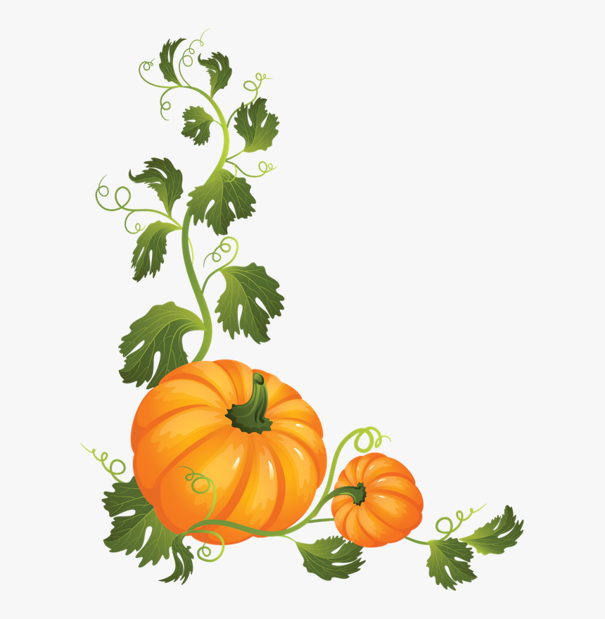 Clipart Pumpkin Vines, HD Png Download, Free Download