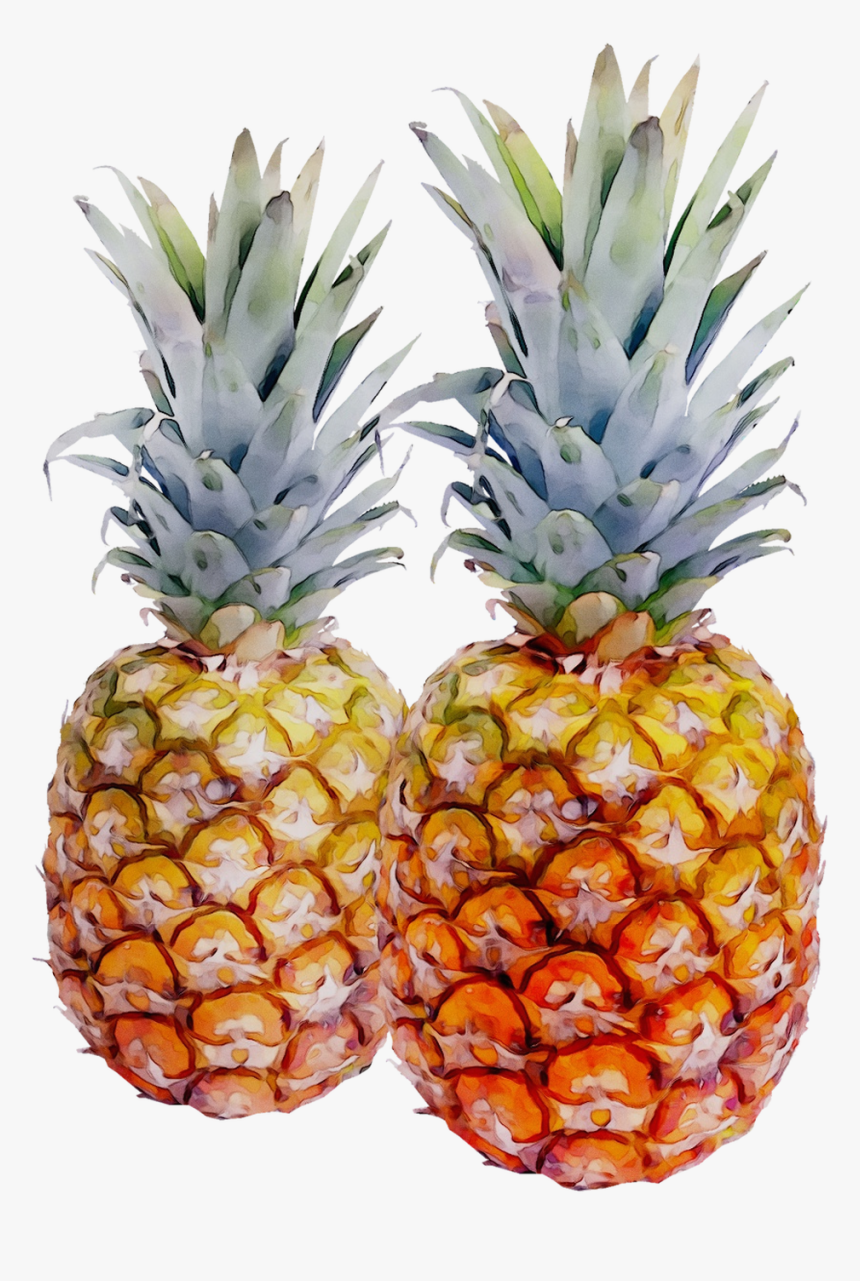 Portable Network Graphics Pineapple Transparency Image - Pineapples Png, Transparent Png, Free Download