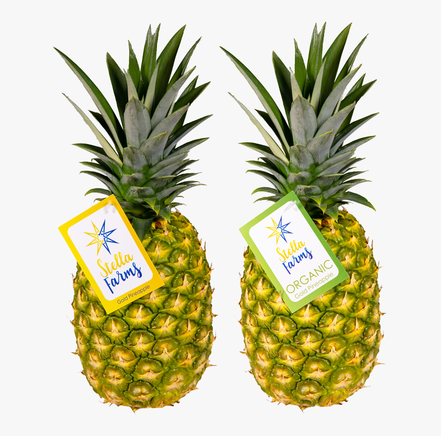 Stella Farms - Pineapple, HD Png Download, Free Download