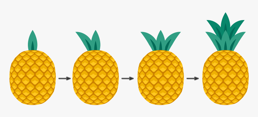 Pineapple Illustrator, HD Png Download, Free Download