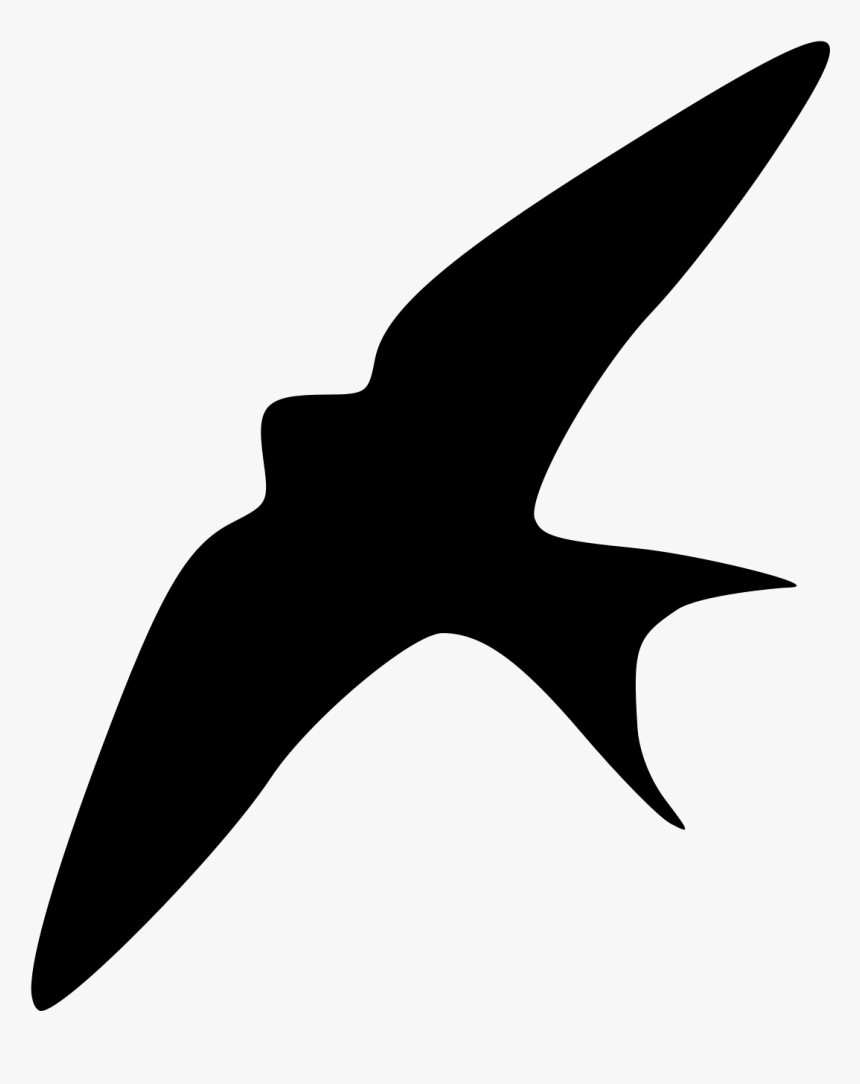 Photography - Swallow Silhouette Png, Transparent Png, Free Download