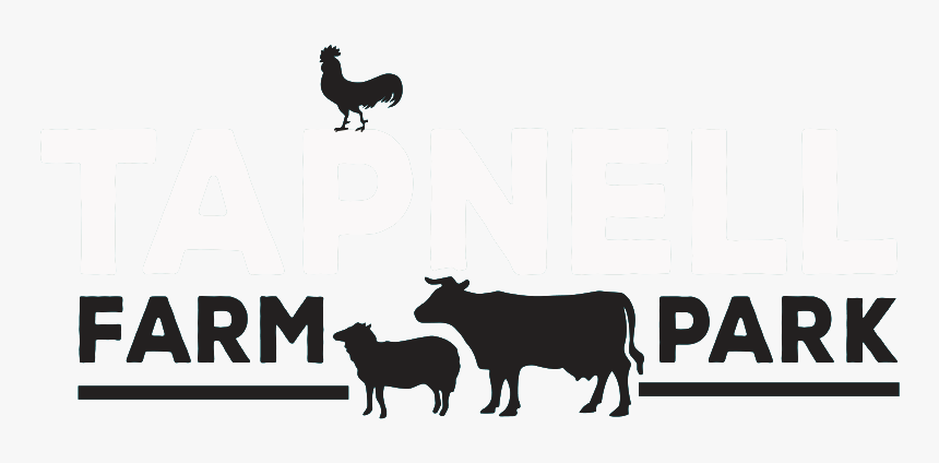 Homepage - Tapnell Farm Park, HD Png Download, Free Download