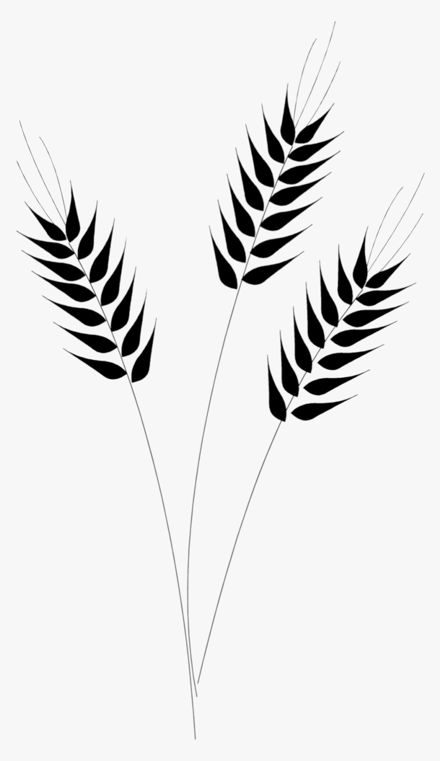 Wheat Captain Clipart Ship Wheel Clip Art Transparent - Wheat Clipart Black And White, HD Png Download, Free Download