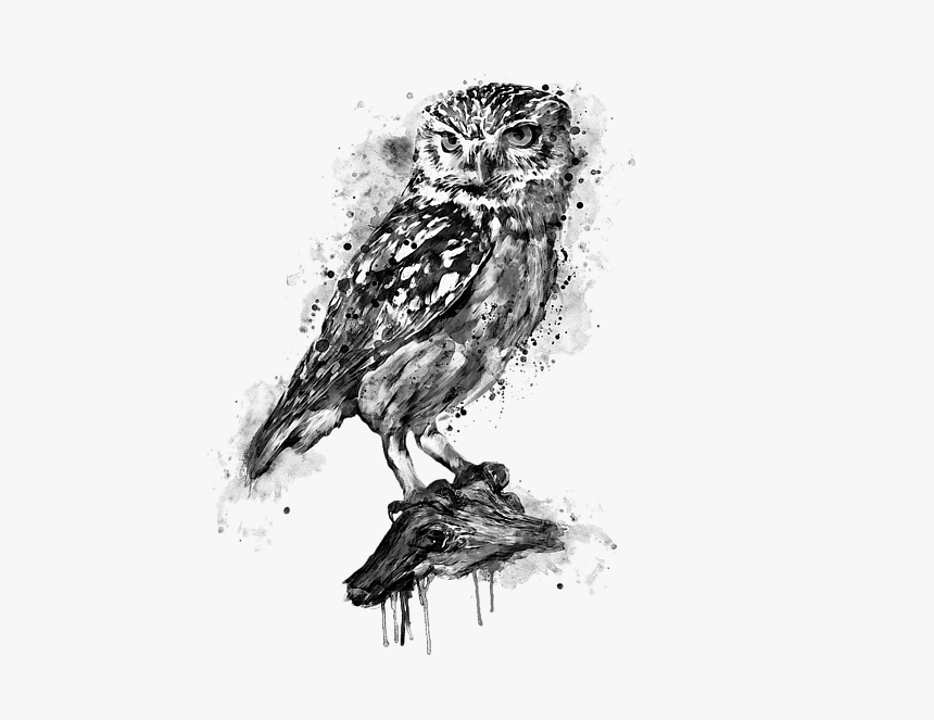 Black And White Owl Art, HD Png Download, Free Download