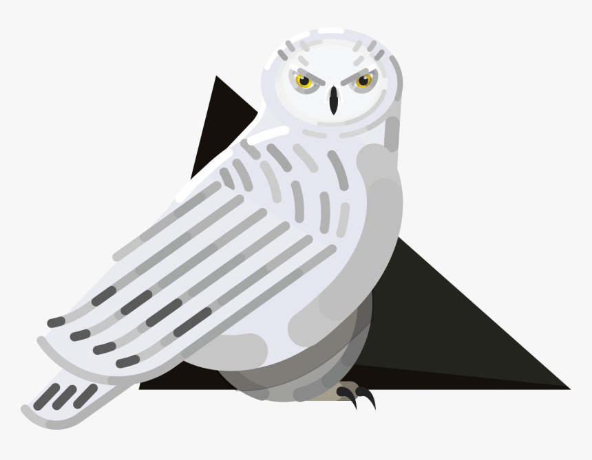 Snowy Owl, HD Png Download, Free Download