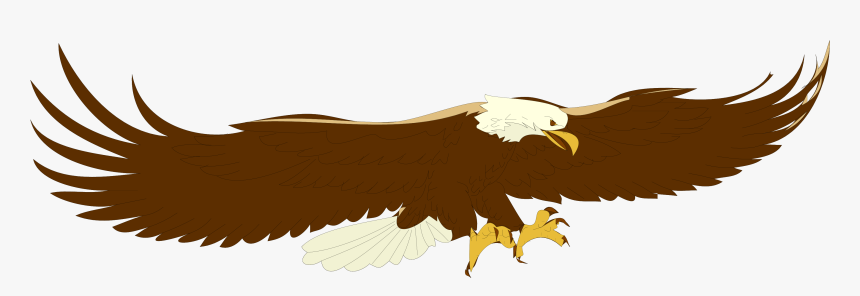 Eagle Cartoon Png - Bald Eagle Clipart Png, Transparent Png, Free Download